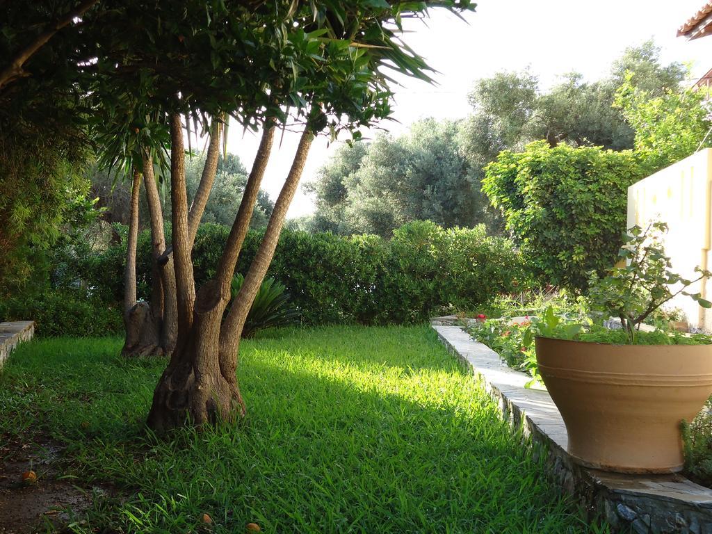 פלאקיאס Anemoni Studios מראה חיצוני תמונה