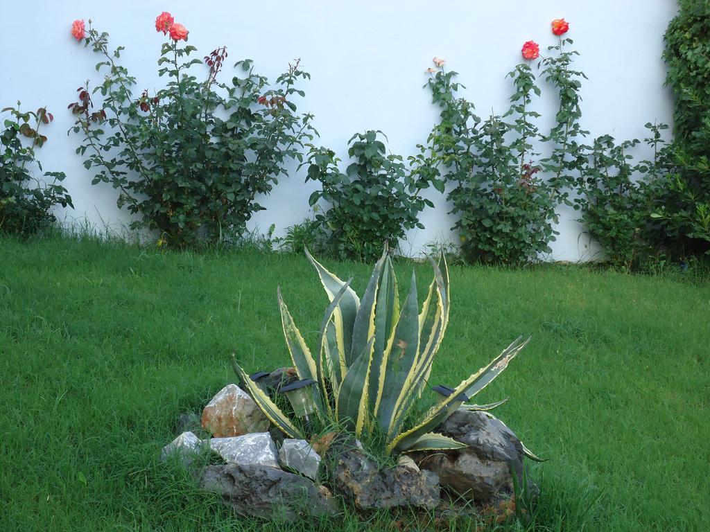 פלאקיאס Anemoni Studios מראה חיצוני תמונה