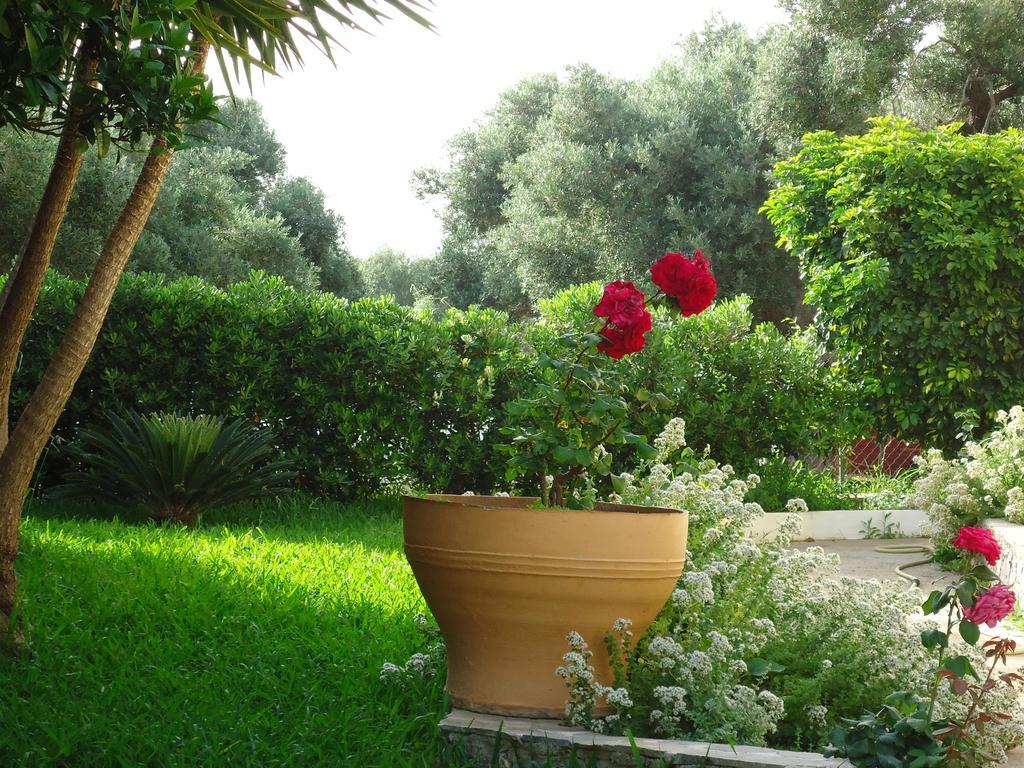פלאקיאס Anemoni Studios חדר תמונה